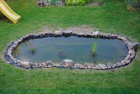 Beautiful and colorful pond, among the colorful plants in the garden with playground