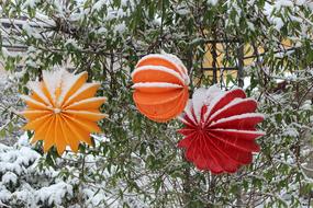 Beautiful and colorful lampions on the green plants, in snow