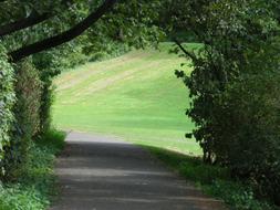 Meadow and path in Cologne Park