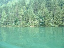 Beautiful shore of KÃ¶nigsee lake, with colorful trees, in Germany