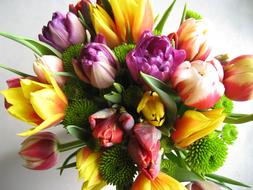 Bouquet Tulips Spring