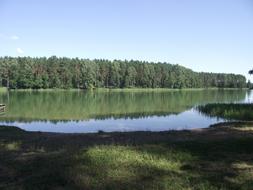 Lake Masuria ducks landscape