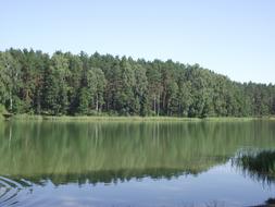 Lake Masuria Ducks