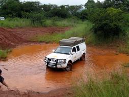 Jeep in Safari Africa