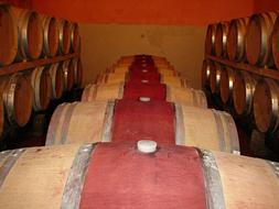 Beautiful, old, wooden barrels of wine at Castelgiocondo, in Tuscany, Italy