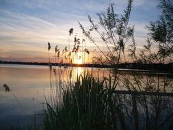 Windebyer Noor at sunset
