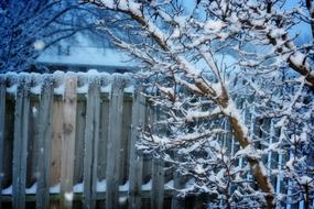 Winter Fence Snow