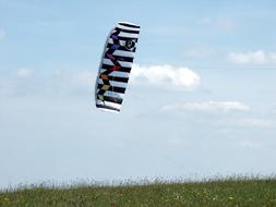 Flying Dragon Kite