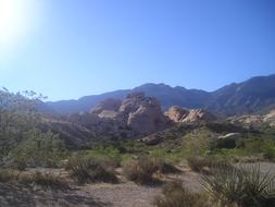 Beautiful landscape with rocks and plants, in sunlight, in Nevada, USA, under the blue sky