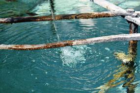 Blue Source Water