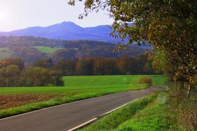 road near green fields and trees