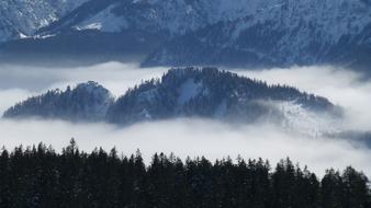 Fog Panoramic View mountains, forest