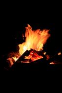 grill Barbecue Bbq Fire