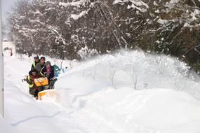 People with snowblower, among the beautiful snow and plants, in the winter