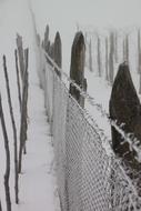 Cold Frozen Fence