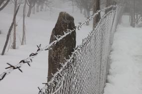 Cold Fence Frozen close-up