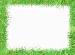 green grass as a frame