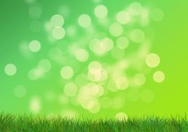 bokeh over grass as background