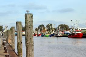 Ship in the port of Buzum