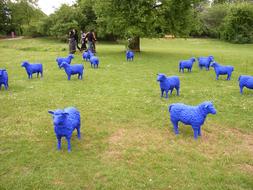 Blue Sheep statues