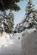 Park Snow Winter