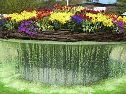 colorful flowers on the fountain on a sunny day