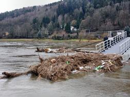 Elbe Flood garbage