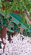 Seoul South Korea Festival
