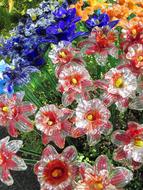 Close-up of the beautiful and colorful flowers and green grass
