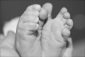 Feet Small Baby close-up in black and white blurred background