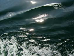 Wave Sea Water surface