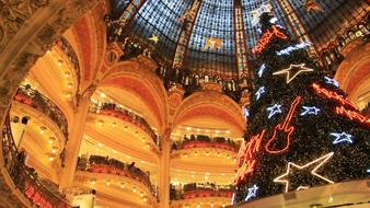 Lafayette Skylight Dome at christmas