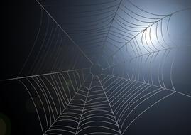 cobweb on a bright blurred background