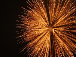 Pyrotechnics Fireworks lights