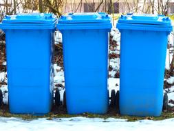 Blue dustbins among the snow, near the plants