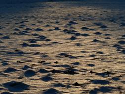 icy snow cover