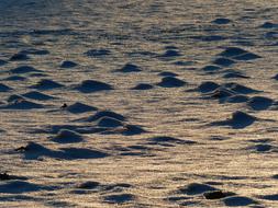 Sun Reflections In The Ocean Water