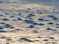 Beautiful, snowy landscape with the molehills in sunlight