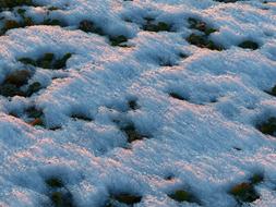 Ground Covered with melting Snow