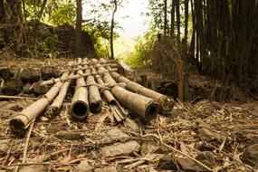 Make-Shift Bamboo Bridge