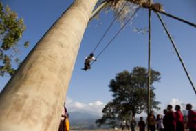 Swing Bamboo Swinging