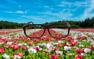 glasses over a flower field as a concept design