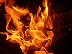 campfire flame as background