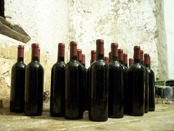 bottles of red wine in the cellar