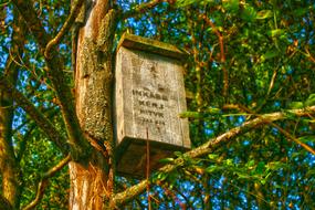 wooden bird house on tree