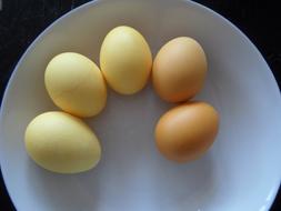 Easter Eggs yellow