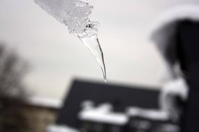 macro picture of Winter Ice Snow