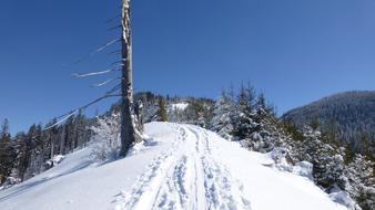 Allgau Winter Snowy mountain