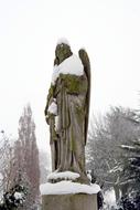 Snowy Angel on Cemetery