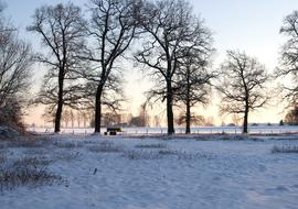 Snowy Countryside